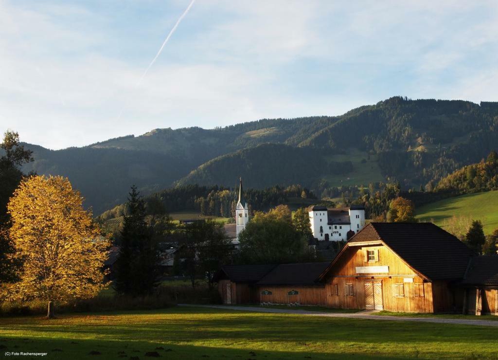 Biobergbauernhof Bergzeit Apartment In 戈尔德格 外观 照片